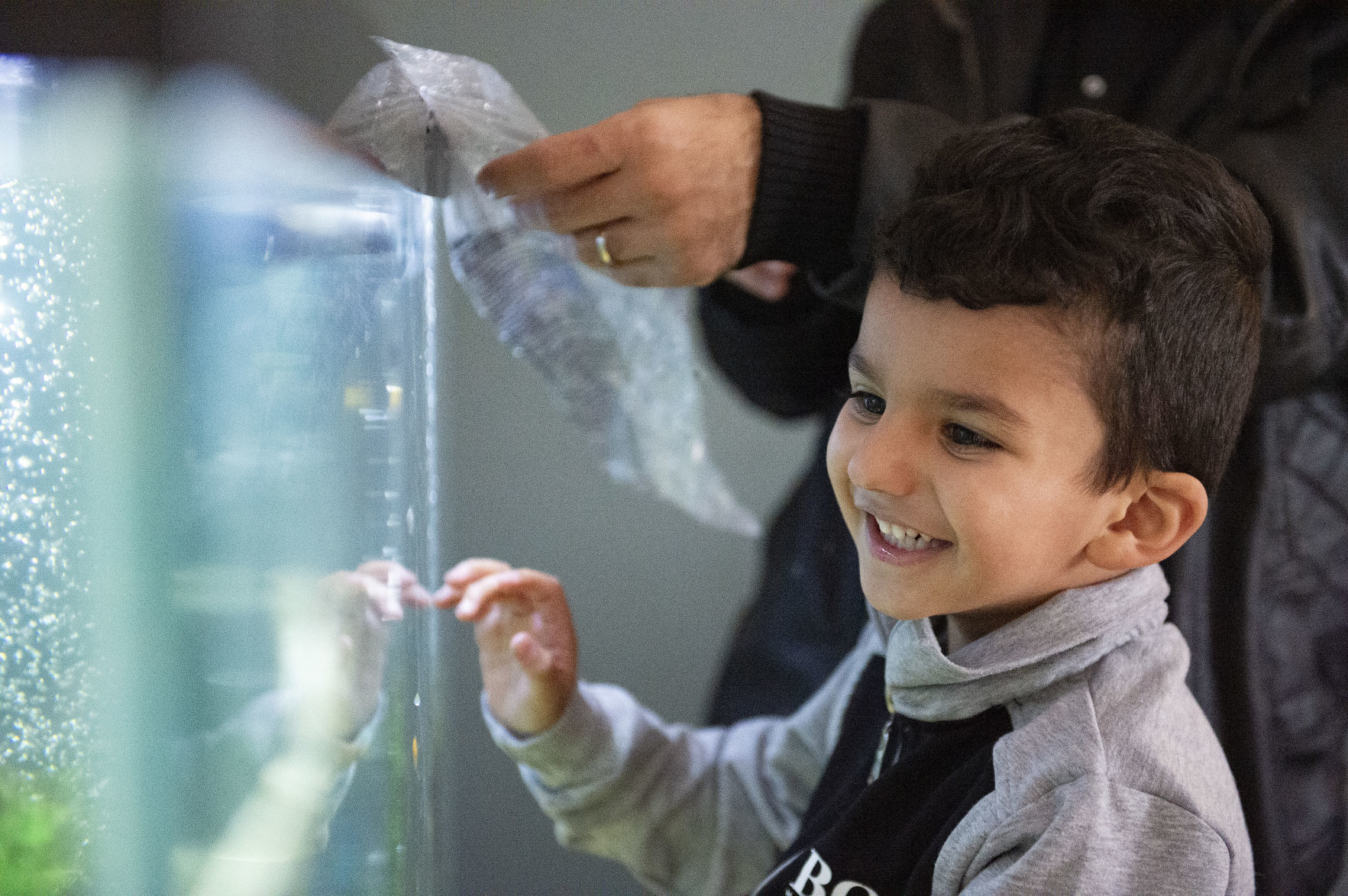 Refugee Life - Home at last
